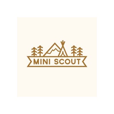 Mini scout